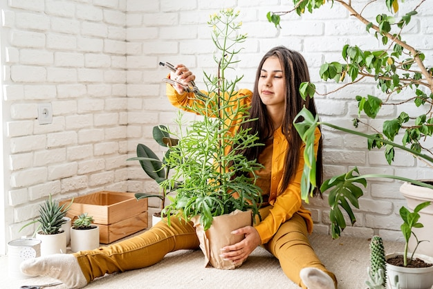 BioRusHome.ru | Какие комнатные растения можно держать в квартире
